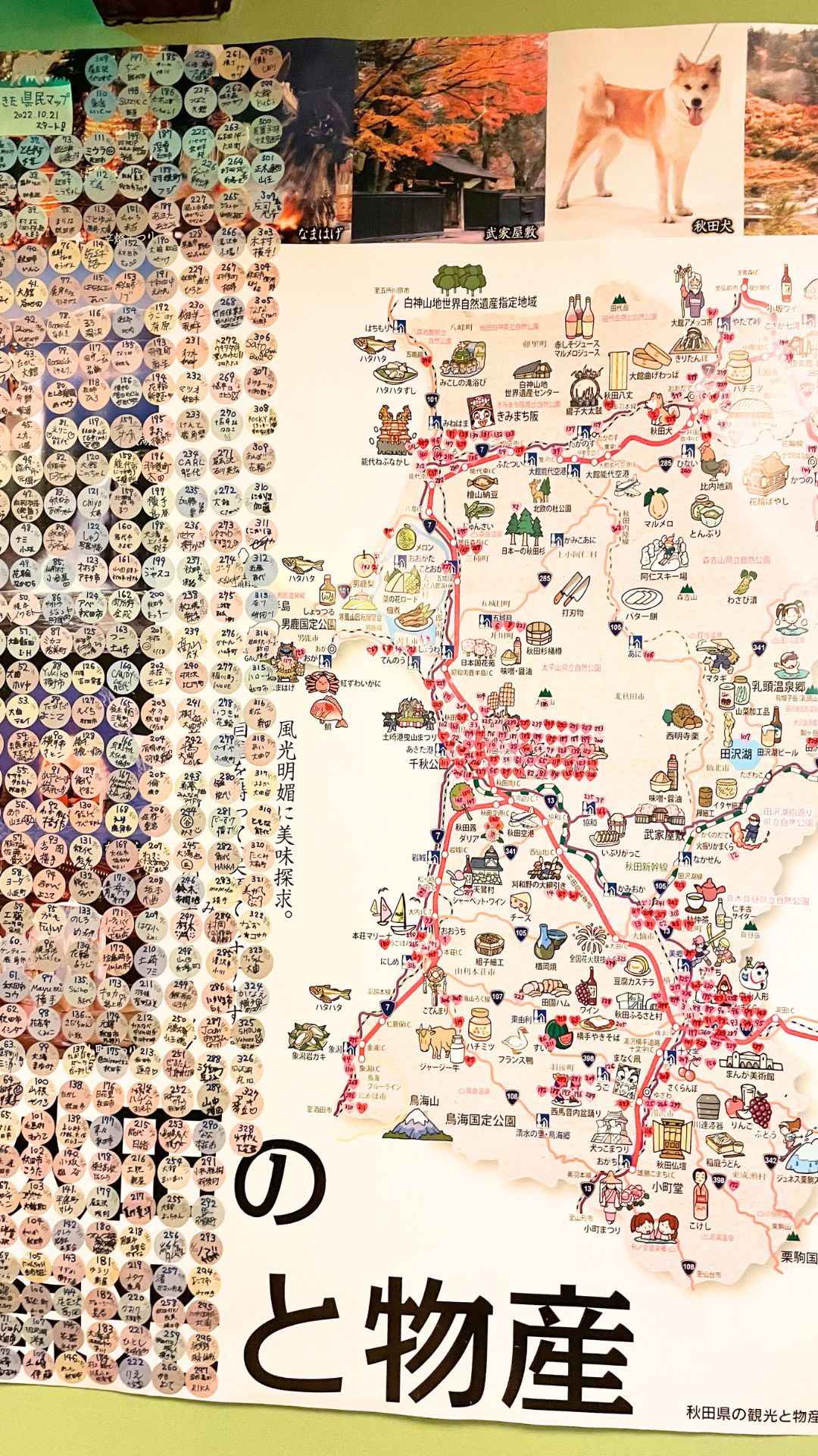 実績を示す画像2