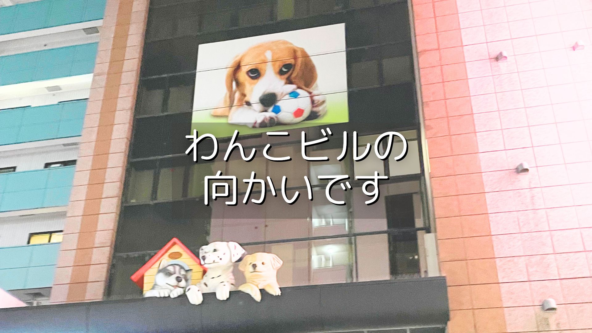 高円寺のわんこビル向かいにある店舗の目印(外観)